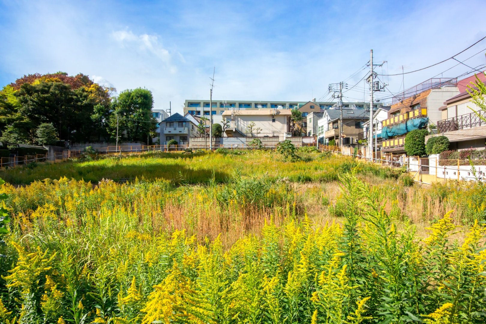 TOPスライド画像